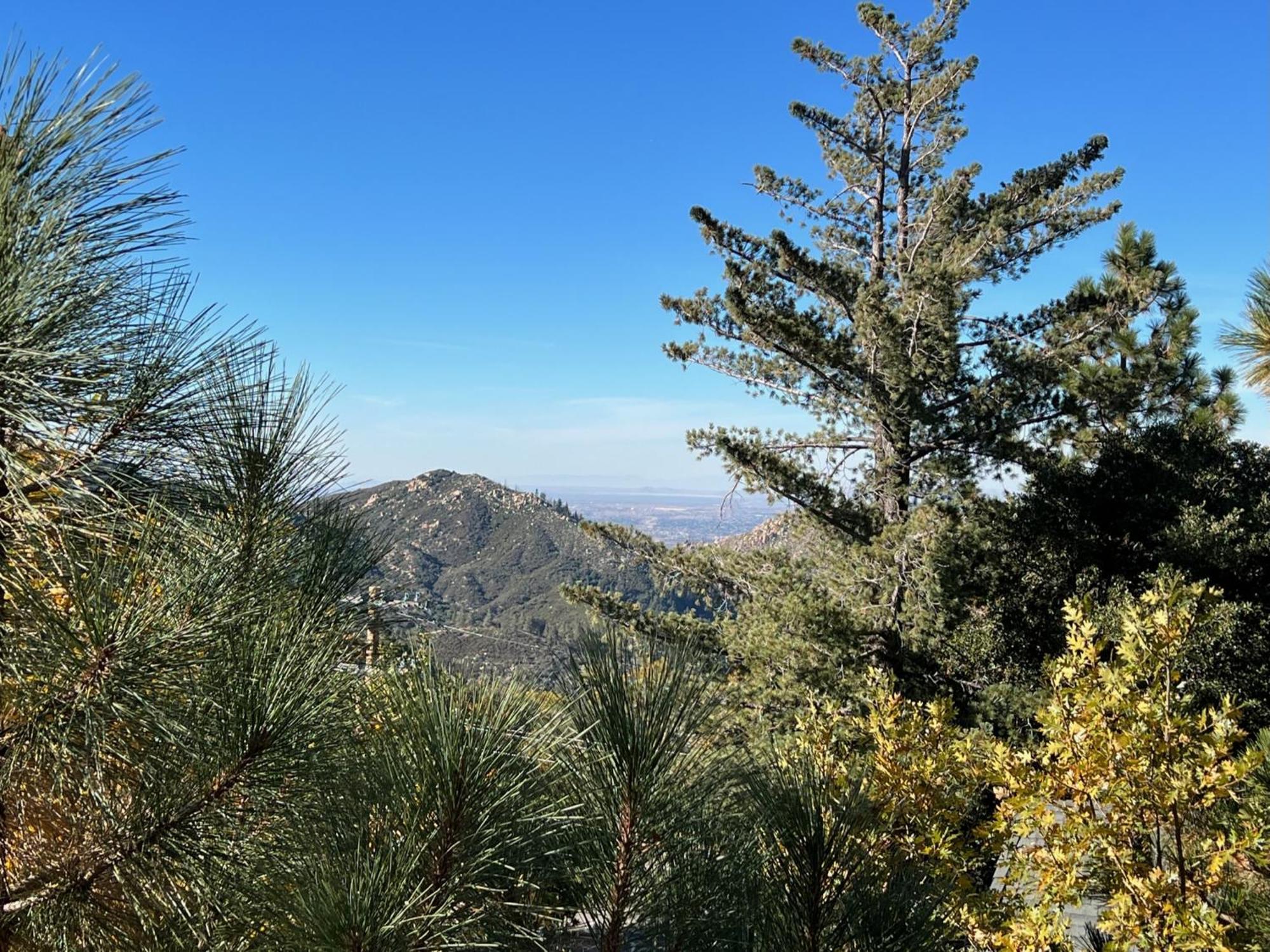 Ev Level 2, Pets Welcome At Sunset Ridge Villa Lake Arrowhead Exterior photo